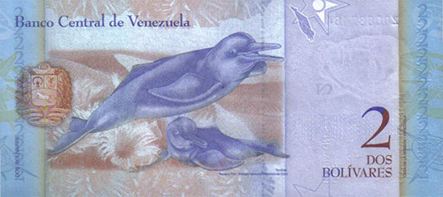 Diseño A, Tipo B. Fecha Diciembre 19 2008. Serie Z8. Pieza con error